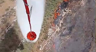 İzmir'de makilik yangını