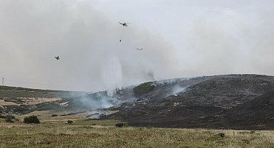 İzmir'de makilik yangını