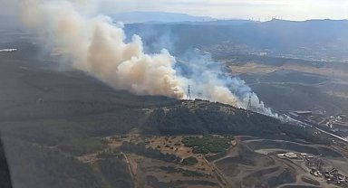 İzmir'de orman yangını