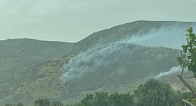 İzmir'de tarım arazisinde çıkan yangın, 2,5 saatte kontrol altına alındı