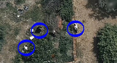 İznik'te 7,5 yıl hapisle aranan hükümlü dronla takip edilip yakalandı