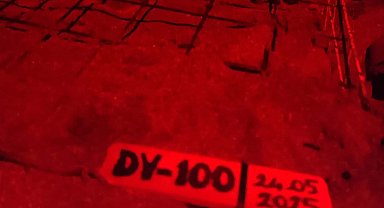 İztuzu Plajı'nda caretta yuva sayısı 100'e ulaştı