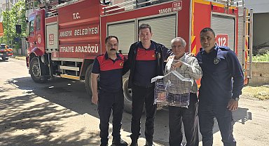 Kaçan muhabbet kuşunu yakalamak istedi, ağaçta mahsur kaldı