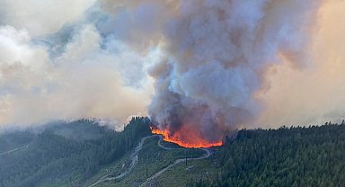 Kanada'da orman yangınları nedeniyle tahliye kararı verildi