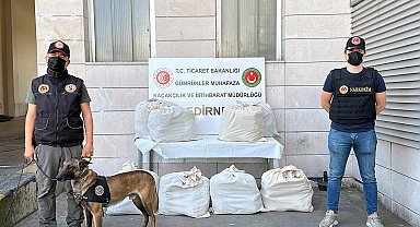 Kapıkule'de otobüsteki 87 kilo uyuşturucuyu Jeff buldu; 3 tutuklama