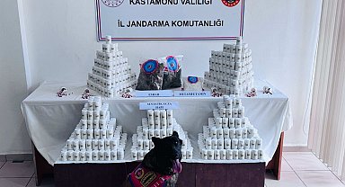 Kastamonu'da uyuşturucu operasyonunda 1 tutuklama