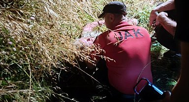 Kayıp kadın çalılıkların arasında yatarken bulundu