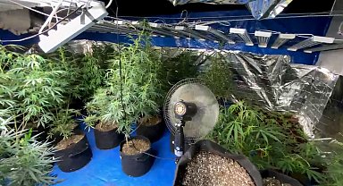 Kenevir yetiştirmek için evine sistem kurmuş