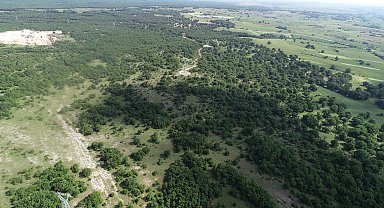 Kırklareli'de ormanlara girişler yasaklandı