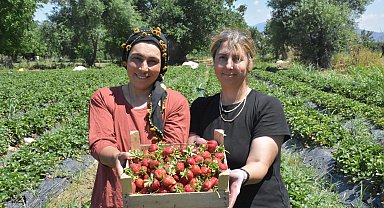 Kız kardeşler, devlet desteğiyle çilek üreterek bölgedeki kadınlara örnek oluyor