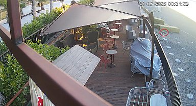 Konyaaltı Sahili'nde caretta yuvası sürprizi