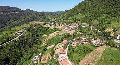 Küre Dağları Milli Parkı'nda bahar güzelliği