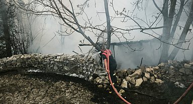 Kütahya'da 4 kümes yandı; 100 tavuk öldü