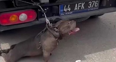 Malatya'da pitbull cinsi köpeğin saldırısına uğrayan kadın yaralandı