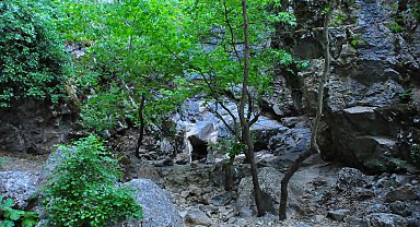 Manisa'da 'saklı kanyon' kurudu