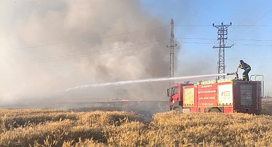 Mardin'de 155 dönüm ekili buğday yandı