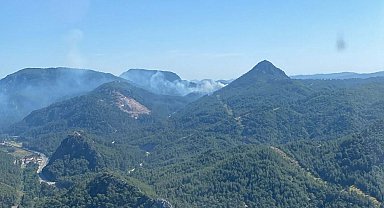 Marmaris'te orman yangını