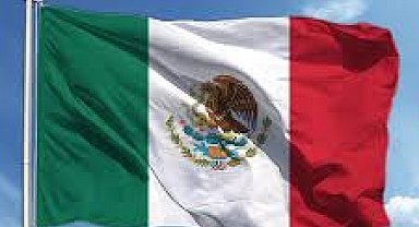 Meksika'da zincirleme kaza: 21 ölü