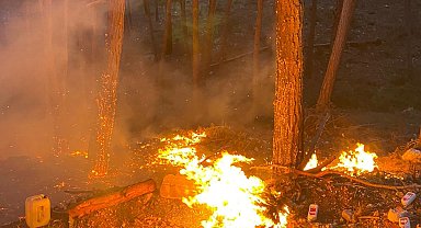 Mersin'de çıkan orman yangını söndürüldü