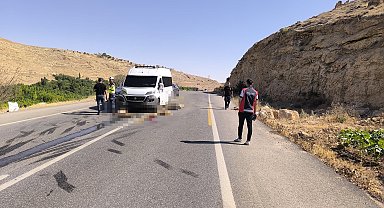 Minibüs, sürüye daldı; 13 küçükbaş öldü