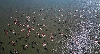 Misafirleri gecikmeli gelen Ulaş Gölü şenlendi