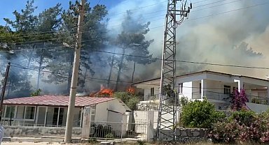 Muğla'da orman yangını