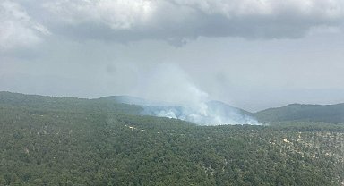 Nazilli'deki orman yangını 2 saatte söndürüldü