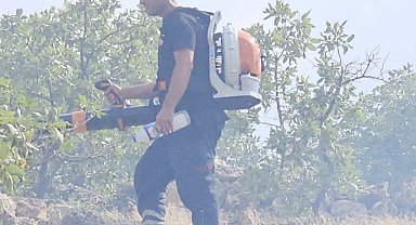 Nusaybin'de otluktaki yangın söndürüldü