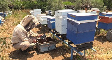 Osmaniyeli arıcılardan küresel iklim değişikliğine karşı teknolojik önlem