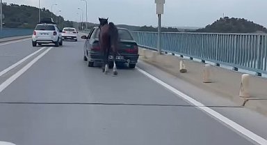 Otomobile bağladığı at ile ilerledi; 2 gözaltı