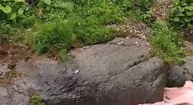 Rize'de rengi kırmızıya dönen derede inceleme