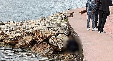 Sahildeki kayalıklarda erkek cesedi bulundu