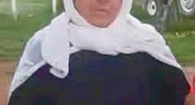 Şanlıurfa'da kamyon ile otomobil çarpıştı: 1 ölü, 3 yaralı