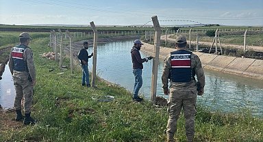 Şanlıurfa'da yasaklanan alanlarda yüzenlere 94 bin lira ceza