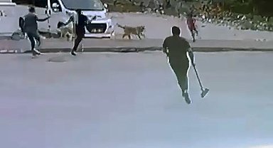 Sokak köpeklerinin saldırdığı çocuğu esnaf kurtardı