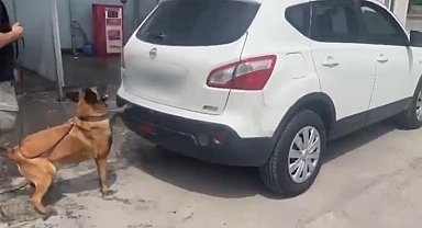 Stepnelerde 5,5 kilo esrar ele geçirildi; 1 şüpheli tutuklandı