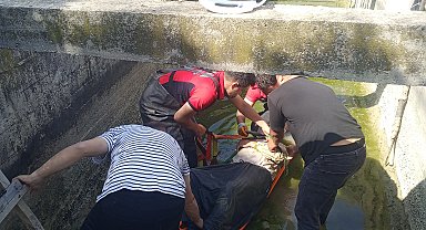 Sulama kanalına düştü, itfaiye kurtardı