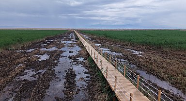 Sultan Sazlığı'nda yürüyüş yolu çalışmaları tamamlandı