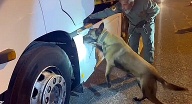 TIR'daki 5,5 kilo uyuşturucuyu 'Viva' buldu