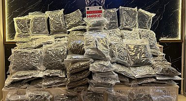 TIR'lardaki 128 kilo uyuşturucuyu 'Carlos' buldu