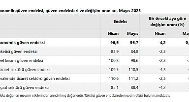 TÜİK: Ekonomik güven endeksi yüzde 0,05 arttı