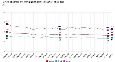 TÜİK: İşsizlik oranı yüzde 8,6 seviyesinde gerçekleşti