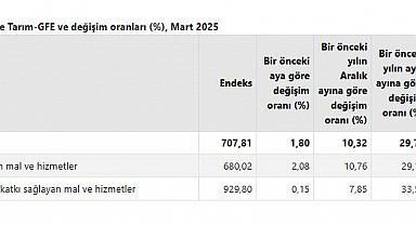 TÜİK: Tarımsal girdi fiyatları martta arttı