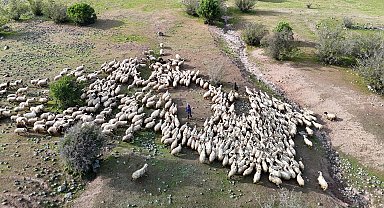Tunceli'de 'Şafaklılar'ın 3 bin rakımlı yaylalara yolculuğu başladı
