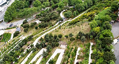 Türkiye Çevre Haftası, 81 ilde 'Çevrene İyi Bak' sloganıyla kutlanacak