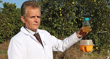 Türkiye'ye 3 milyar dolar zararı olan Akdeniz meyve sineğine karşı biyolojik ilaç geliştirildi