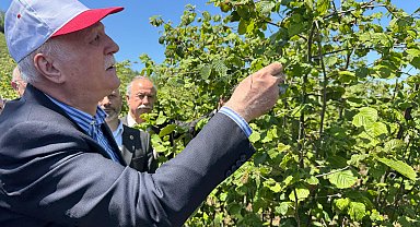 TZOB Genel Başkanı Bayraktar: Zirai don hasarı yüzde 100