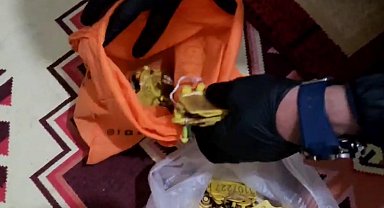 Usulsüz hayvan sevk belgesi düzenleyenlere operasyon: 9 gözaltı