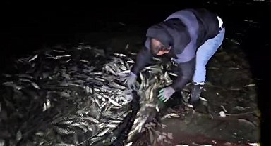 Van'da kaçak avlanan 2,5 ton inci kefali ele geçirildi