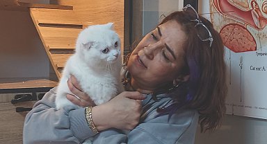 Veteriner hekim sokak hayvanlarını tedavisini yapıp sahiplendiriyor